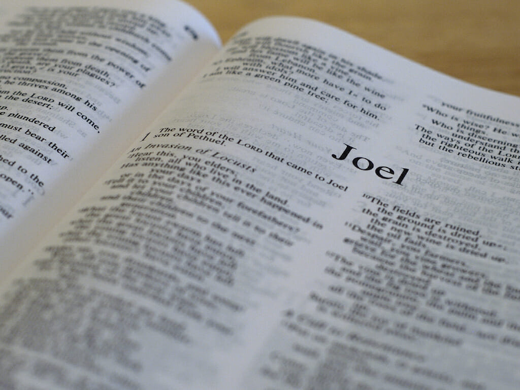 Joel 1:1-3:21