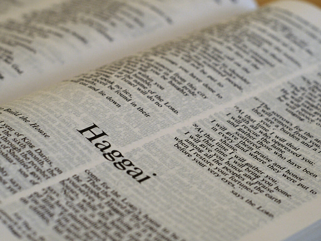 Haggai 1:1-2:23